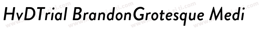 HvDTrial BrandonGrotesque Medium字体转换